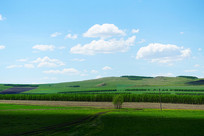 ���ױ�����ɫũ��羰