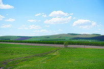 ���ױ���ԭҰ��Ұ����