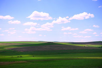 ������ɫ��ԭҰ