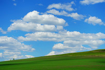 ��ɫũ���������