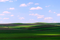 ��ɫ��Ұ���