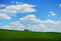 ��ɫԭҰ����