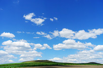 ����µ���Ұ���