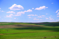 �����������������ɫ��Ұ