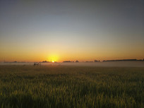 �ճ�������ׯ