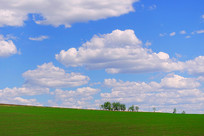 ԭҰ��Ұ����