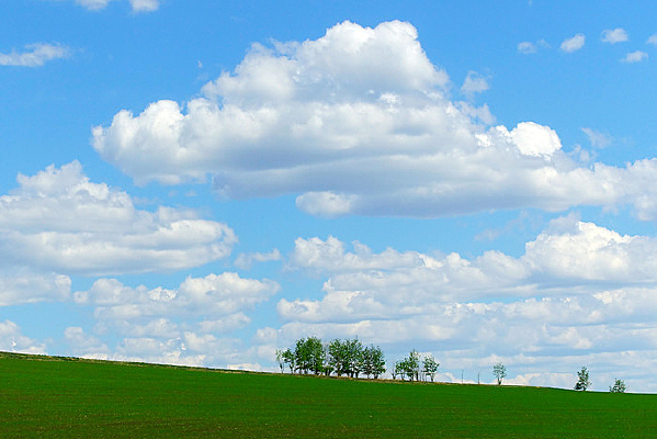 ������ɫũ�� 