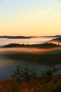 ���˰����ֺ���������