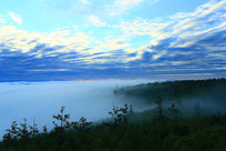 ���˰����峿�����ֺ�����