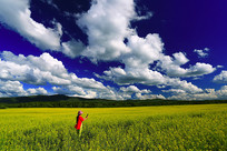 ��Ұ�Ͳ˻��� 