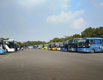 ����ͣ����