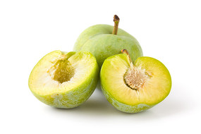 �п�����ɽ�������