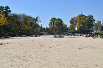 ɳ̲��ľ�羰ͼƬ