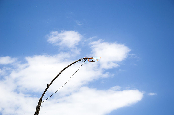 ����������