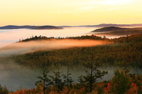 ���˰����ֺ����� 