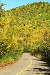 ���˰�������ɽ·�＾���