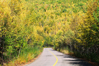 ���˰�������ɽ·�ﾰ 