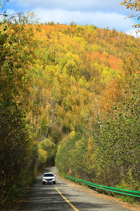 ���˰�������ɽ·�ﾰԽҰ��