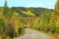 ���˰����＾ɭ��ƽ̹�Ĺ�·