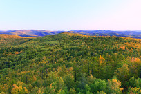 ���˰���ԭʼɭ���＾���