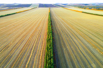 ��������ũ���������ɫ