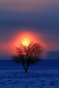 ����ѩԭ�ճ����� 