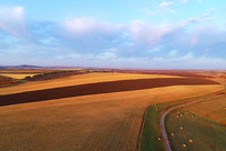 ���Ķ���ƽԭ����������ɫ