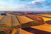 ���Ľ�ɫ����Ұ���