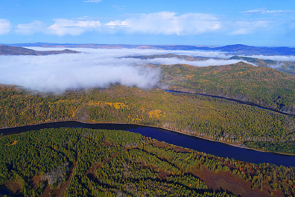 ����ɭ�ֺ���ɫ