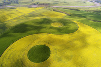 ������Ұ̫��ͼ 