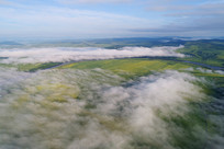 ���ױ�����Ұ�ƺ� 