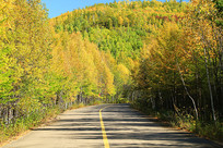 �������ɽ·