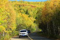 �������ɽ·����