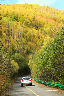 ��������ԽҰ����ʻ��ɽ·��