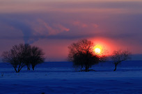 ���ɹŶ������ѩԭ�ճ�