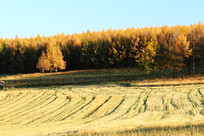 ���ɹ�ũ���＾ũ����