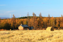 ��Ұũ����ɫ