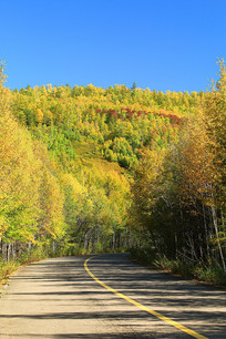 ͨ����ɫ���ֵĹ�· 