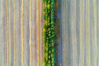 ������Ұ����