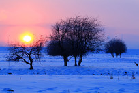 ѩҰ�����ճ�