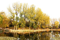 Բ��԰԰������