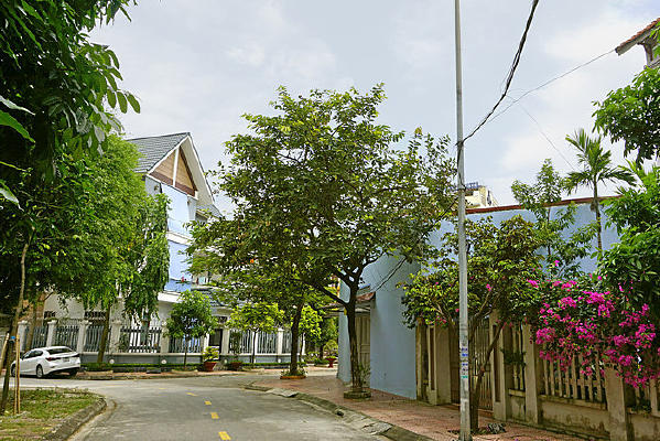 Խ�Ϻ����нֵ������