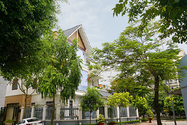 Խ�Ϻ����нֵ�����ӽ���  