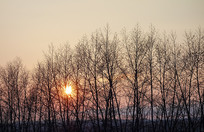 �ƻ�����