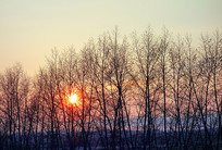 ����ʱ������