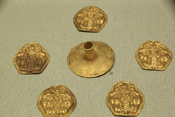 ���ܶ����ƽ�Ƭ����