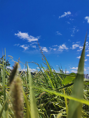 �ݴ��ӽǵ�����