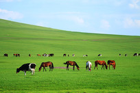 ��ԭ����