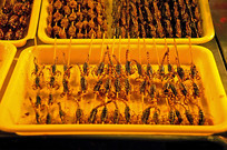 ����������ҹ��С��-ըЫ��