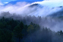 ���˰�����͵�����������